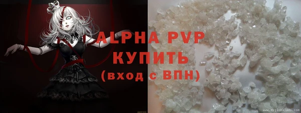 PSILOCYBIN Навашино