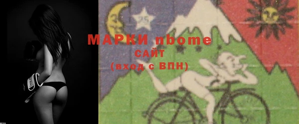 твердый Надым