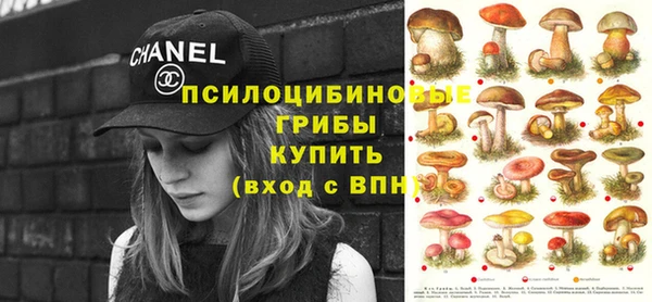PSILOCYBIN Навашино